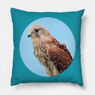 Bird of Prey photograph Pillow