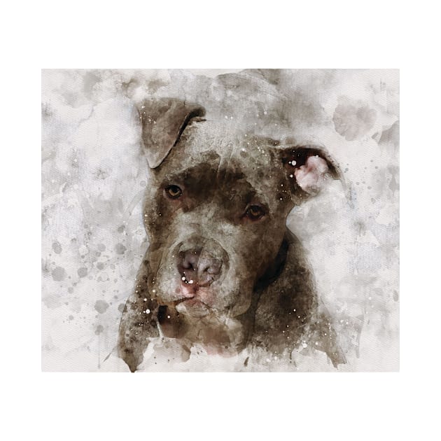 American Pitbull dog watercolour digital portrait effect. by gezwaters