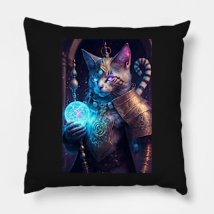 Become the Sorcerer You Are Meant To Be Pillow