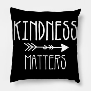 Teacher Shirt. Kindness Tshirt. Kindness Matters Pillow