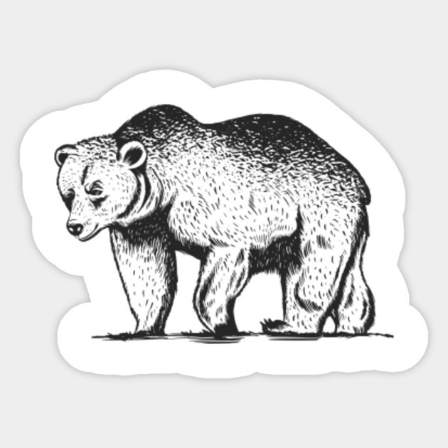 grizzly bear sweater
