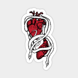 Black, White, and Red Snakes with Anatomical Hearts Magnet