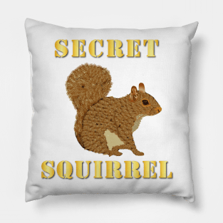 Secret Squirrel w Txt Pillow