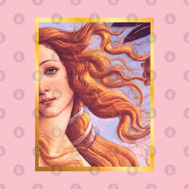 Birth of Venus by LylaLace Studio