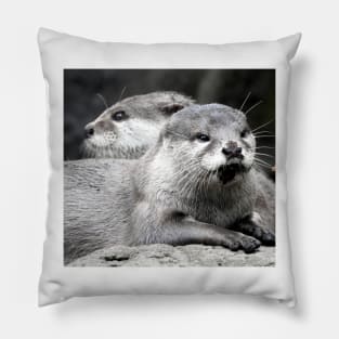 Asian Small-Clawed Otter Pillow