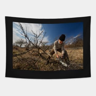 Senior farmer trimming trees Tapestry