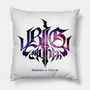 Big Crunch - Evolution in Reverse Pillow