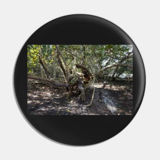 Mangrove Trail Pin