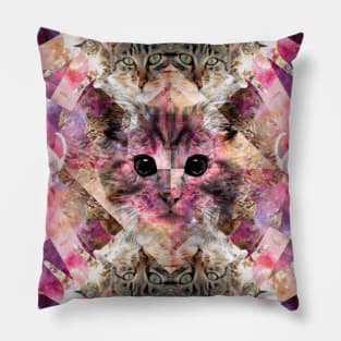 CAT COLLIDE Pillow