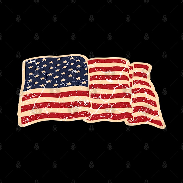 USA American Flag by Mila46