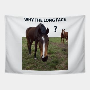 Why The Long Face? - Funny Horse Tapestry