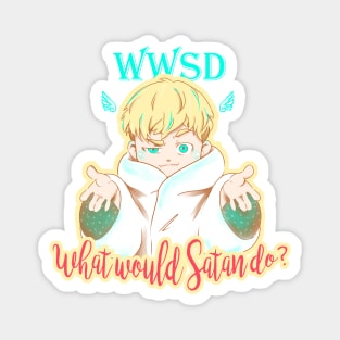 WWSD Magnet