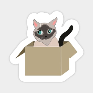 Cat in the box Magnet