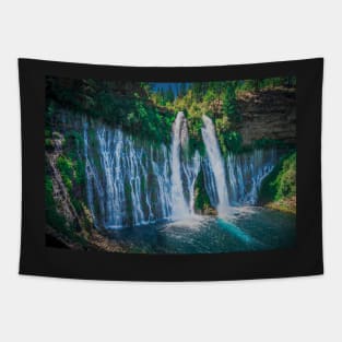 McArthur-Burney Falls Tapestry