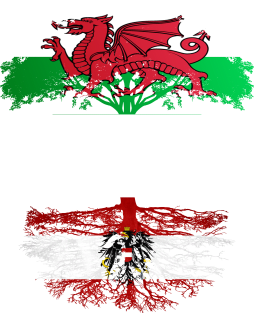 Welsh Grown With Austrian Roots - Gift for Austrian With Roots From Austria Magnet