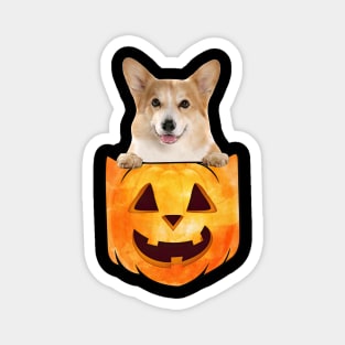 Corgi Dog In Pumpkin Pocket Halloween Magnet