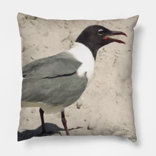 Beautiful photograph of a funny seagull with its beak open Pillow