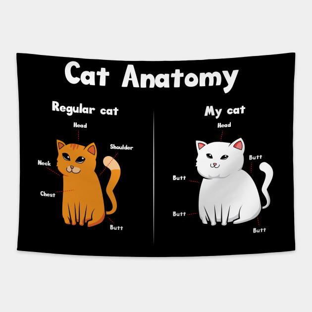 Cute And Funny Cat Anatomy Memes T Shirt Pet Cats Lover Gift Cat Lover Cat Lover Pet Cat Lover Cat M Tapestry Teepublic