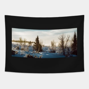 White Scandinavian Winter Landscape With Mysterious Fog on Sunny Tapestry