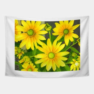 Yellow Summer Cone Flowers in the Garden Tapestry