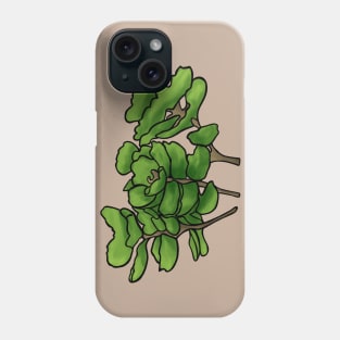 One Sassy Succulent Phone Case