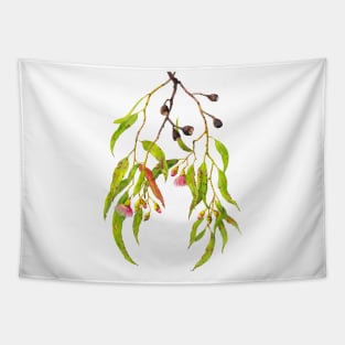 Watercolor eucalyptus branch with pink gum flowers and gum nuts Tapestry