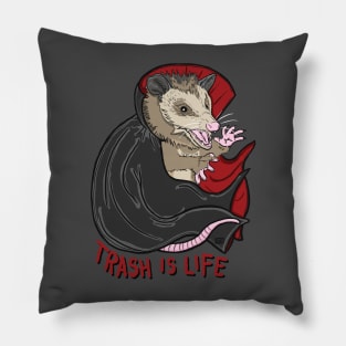 Trash is Life Possum Pillow