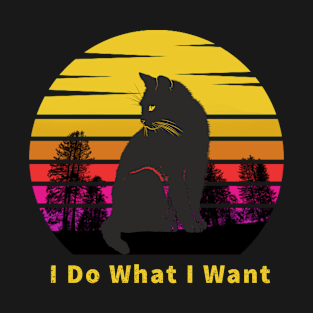 I Do What I Want T-Shirt