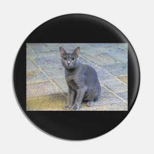 alley cat Pin