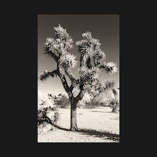 Joshua Tree bw T-Shirt