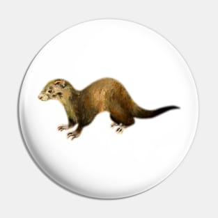 Ferret Pin