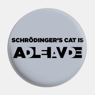 Schrodinger experiment Pin