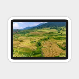 Rice Terrace4. Magnet