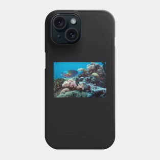 parrot fish Phone Case