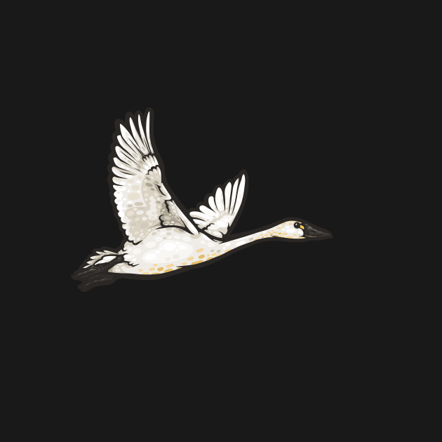 Tundra Swan by Ginboy