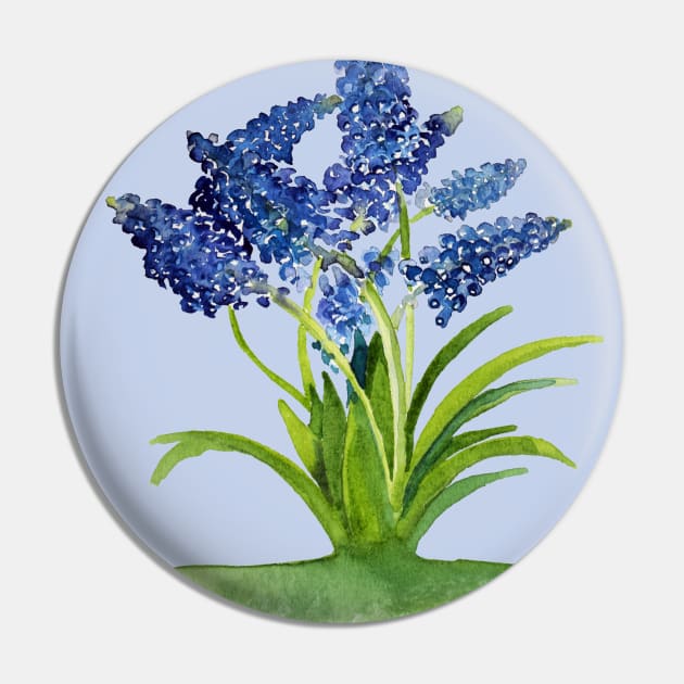 Grape Hyacinths Pin by Kirsty Topps