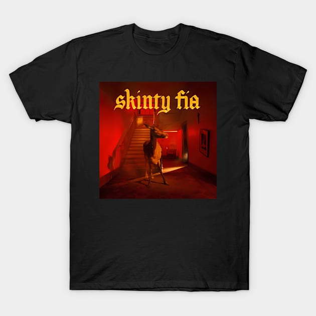 Fontainess D.C Skintys Fias Album
