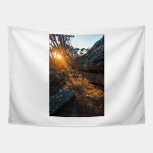 Sunrise on Blackwall Mountain on NSW Central Coast Tapestry