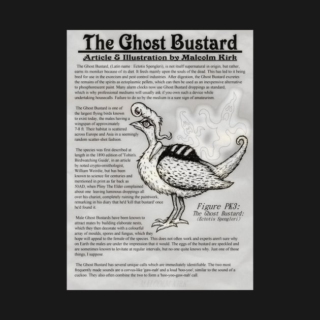 The Ghost Bustard by MalcolmKirk