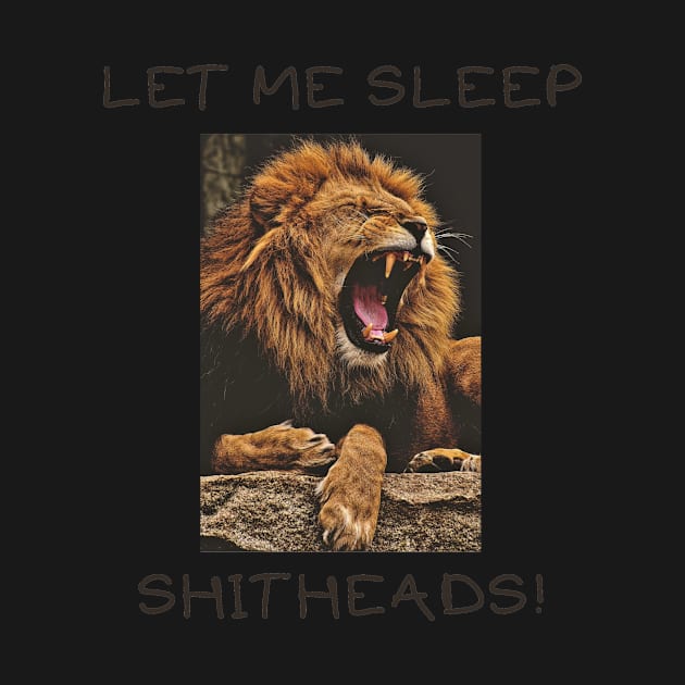 Let me sleep shitheads by IOANNISSKEVAS