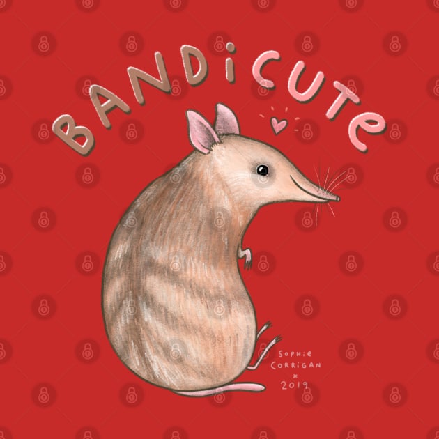 Bandicute by Sophie Corrigan