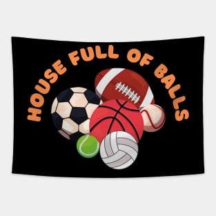 House full of balls Tapestry