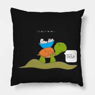 Turtle Mailman Pillow