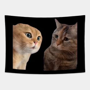 Two Cats Talking Meme, Cat Meme, Funny Cat Tapestry