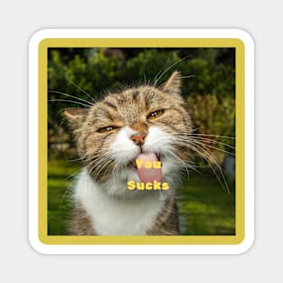 Funny Cat Design Magnet