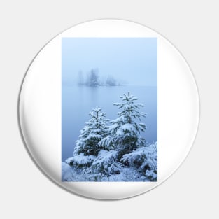 Foggy winter lake and spruce trees Pin