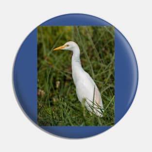 Snowy egret Pin