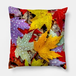 Fall Pillow