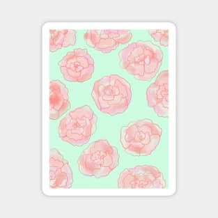 Pastel Pink and Green Roses Magnet