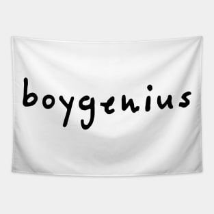 boygenius Tapestry